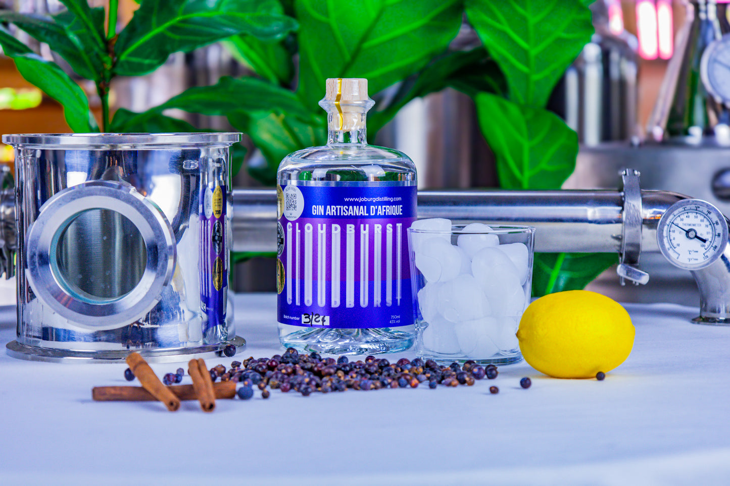 Cloudburst Artisanal Gin